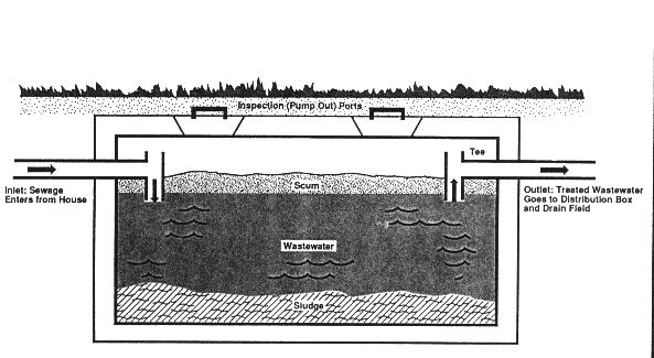 SepticSide.gif (95799 bytes)